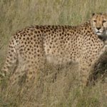 【eスポーツ】ゲームのチートにはどんな種類がある?仕組みや対策は?